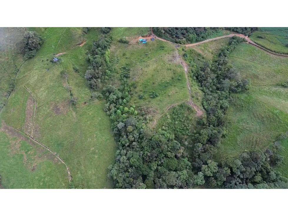 LOTE EN VENTA EN EL CARMEN VEREDA VALLEJUELITOS CHAVERRA CCZ — foto 2