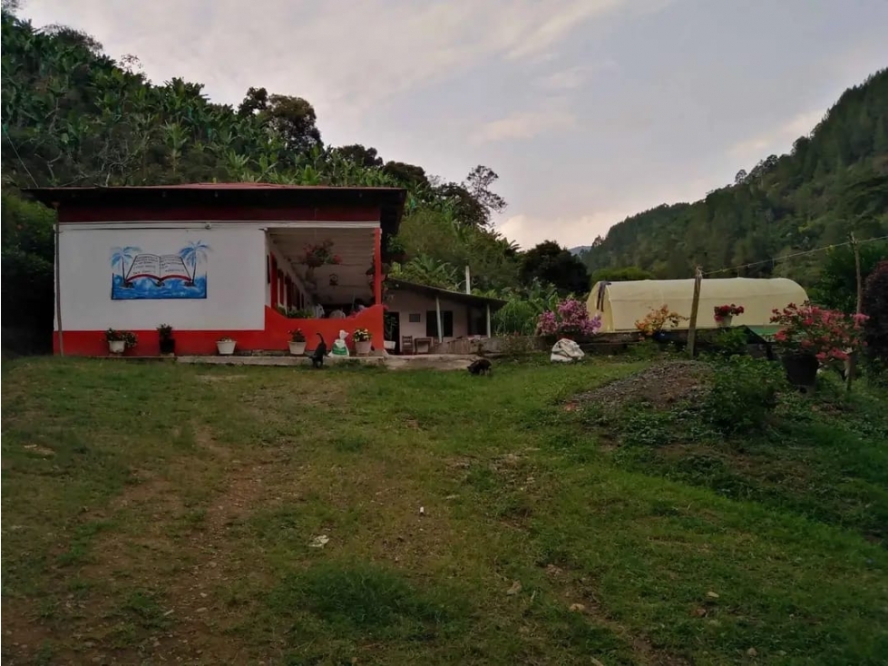 FINCA PARA LA VENTA EN SUROESTE ANTIOQUEÑO CCZ - 2