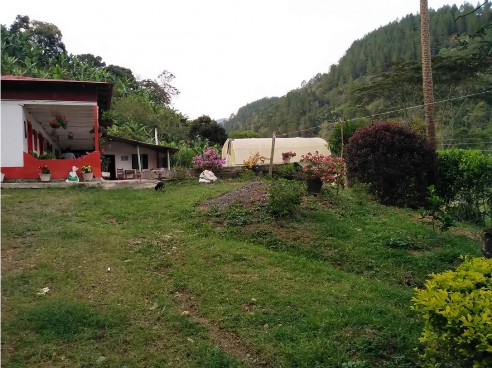 FINCA PARA LA VENTA EN SUROESTE ANTIOQUEÑO CCZ - 3