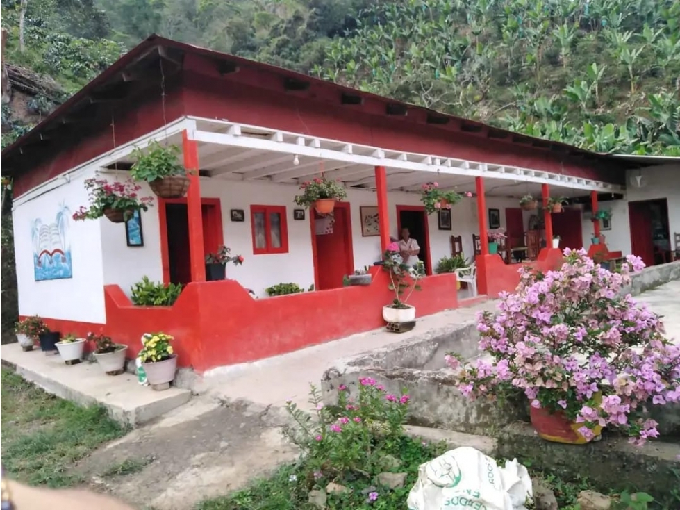 FINCA PARA LA VENTA EN SUROESTE ANTIOQUEÑO CCZ - 5