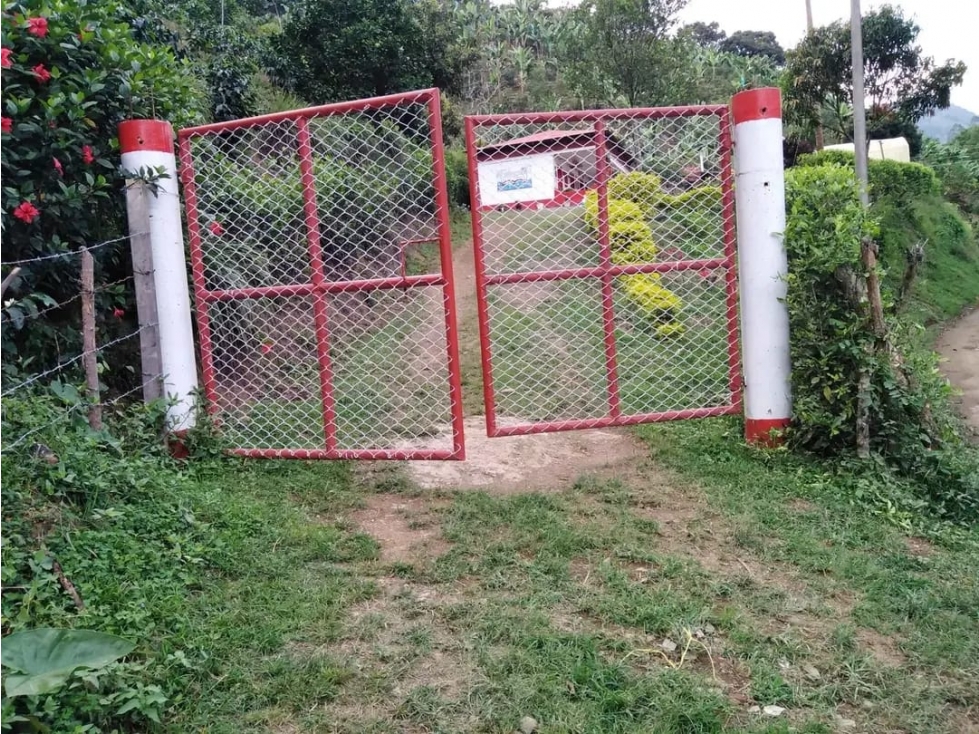 FINCA PARA LA VENTA EN SUROESTE ANTIOQUEÑO CCZ - 4