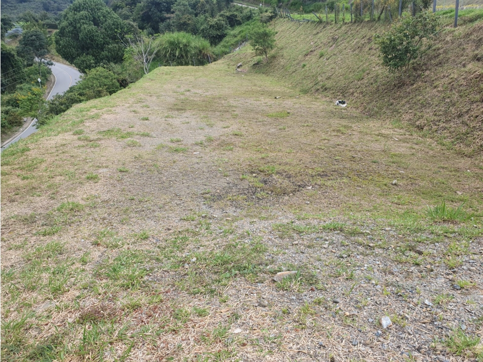 Venta de Lote en Norteamérica - 4