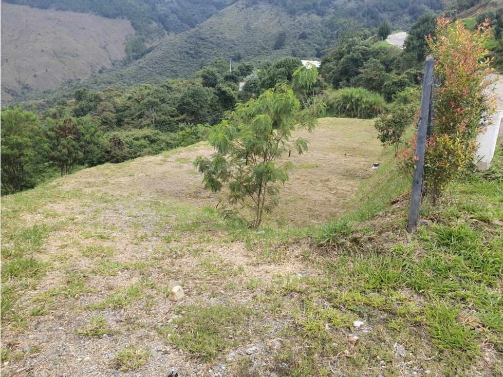 Venta de Lote en Norteamérica - 5