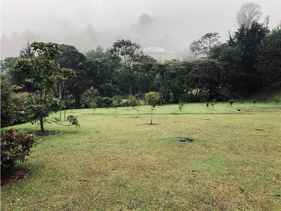 Lote 3800 m Vista panorámica .Poblado, Las Palmas — foto 4