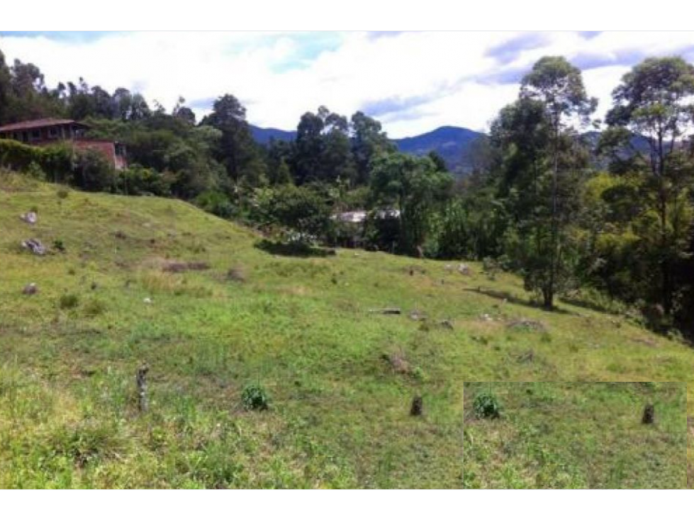 Lote 7116 m Vista panorámica .Poblado, Balsos — foto 3