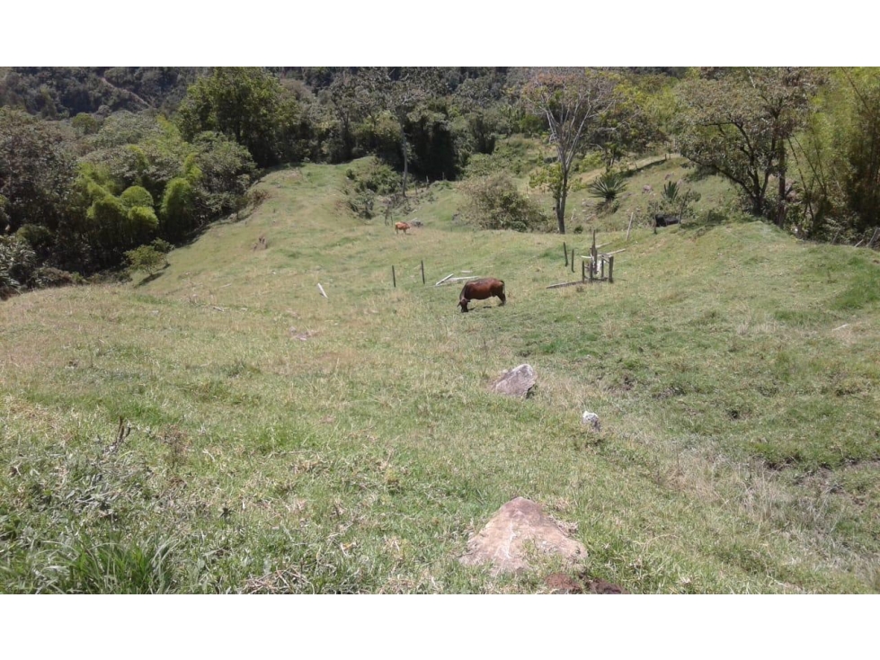 VENCAMBIO FINCA DE RECREO CASA DUPLEX EN EL RETIRO ANTIOQUIA. — foto 4