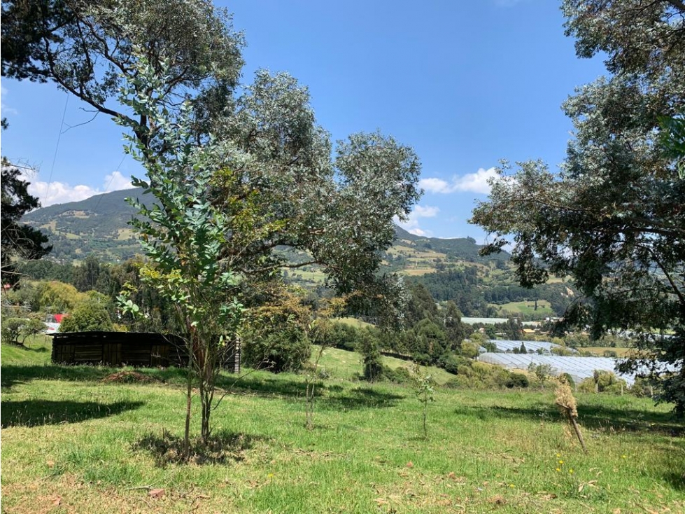 VENDO FINCA EN COGUA - 2