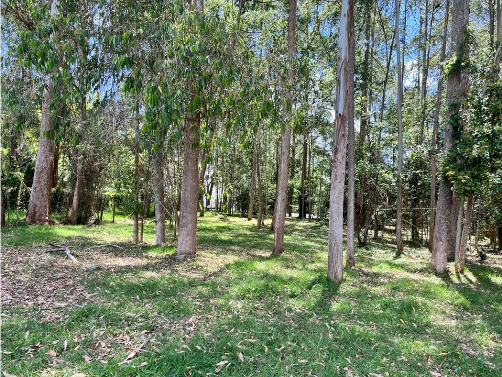 VENDO LOTE ESPECTACULAR EN LLANOGRANDE CCZ