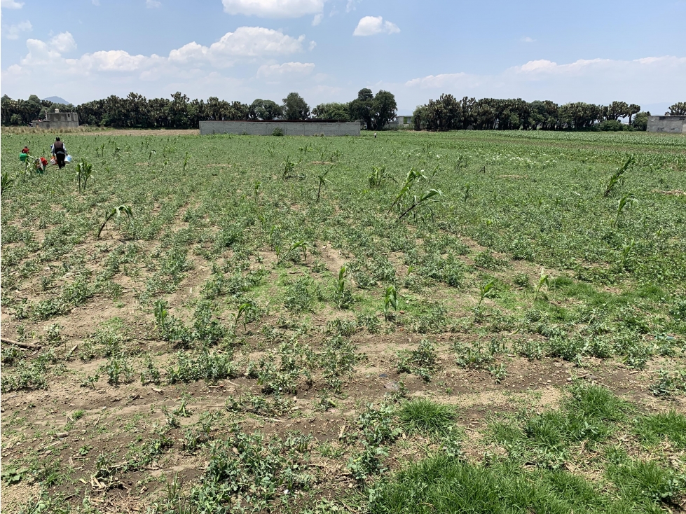 Terreno en Venta en Capultitlán. - 3