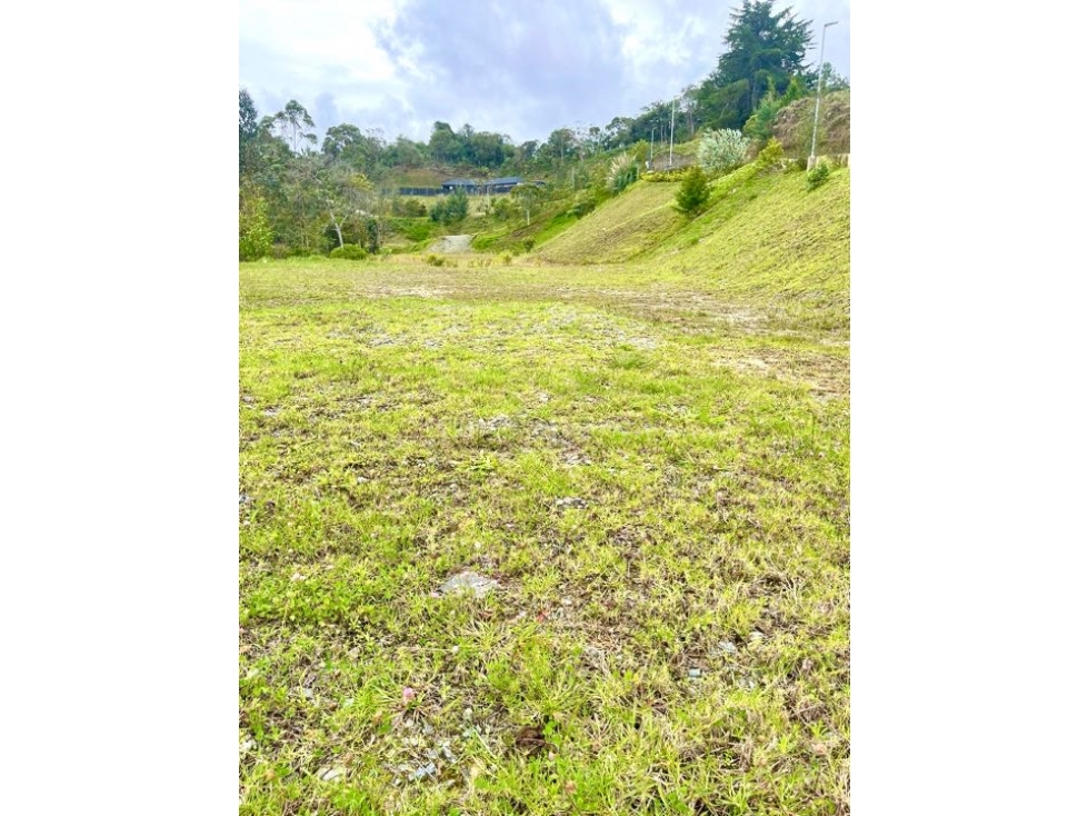Venta- espectacular lote en Montesereno