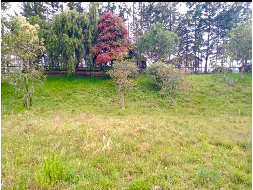 Venta lote en Casa Campestre, 3.210 mts
