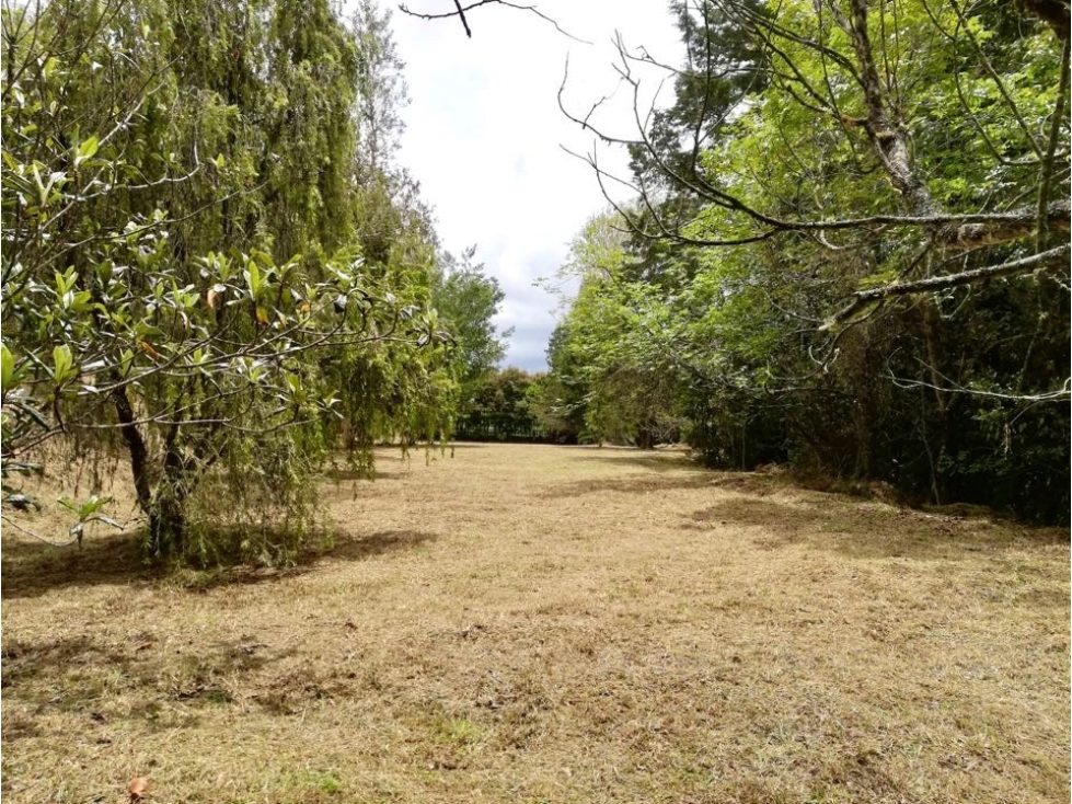 Lote en Casa Campestre, alto de las palmas — foto 4