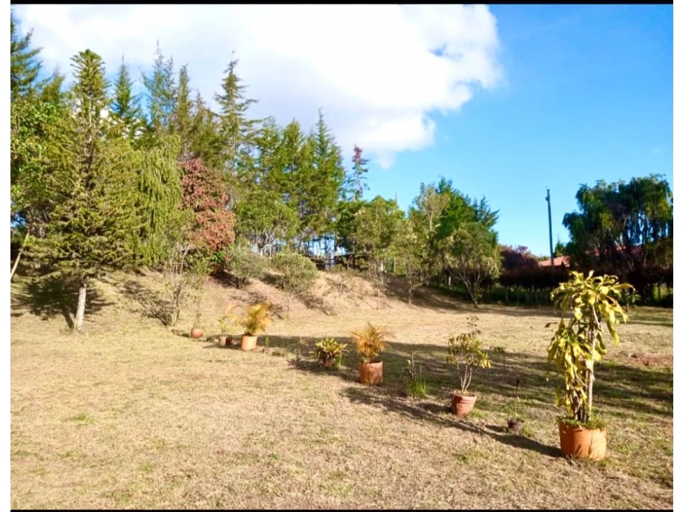 Venta lote en Casa Campestre, 3.210 mts — foto 4