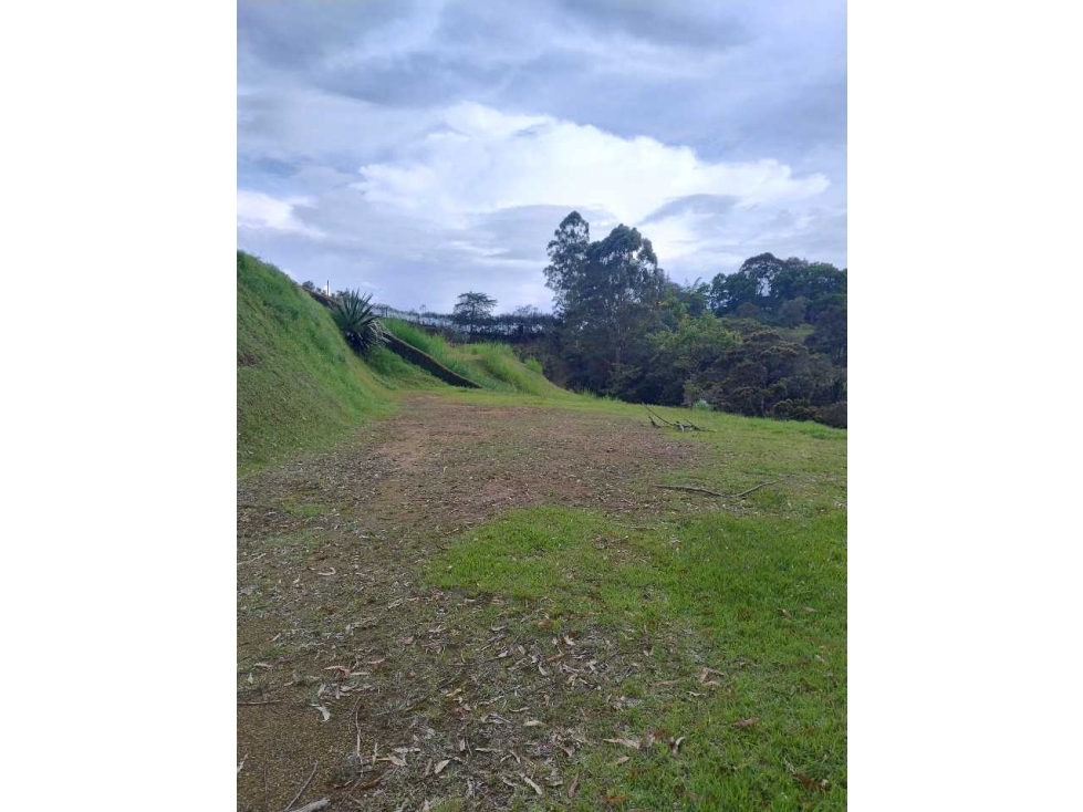 SE VENDE LOTE ENTRE SAN ANT.DE PEREIRA Y LA CEJA, PARCELACION LA SELVA — foto 2