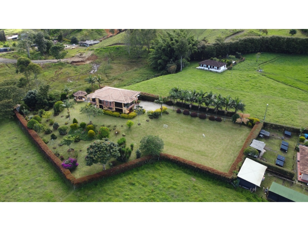 FINCA EN VENTA VIA LA CEJA - SAN ANTONIO DE PEREIRA — foto 4