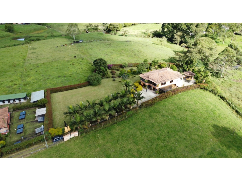FINCA EN VENTA VIA LA CEJA - SAN ANTONIO DE PEREIRA — foto 5