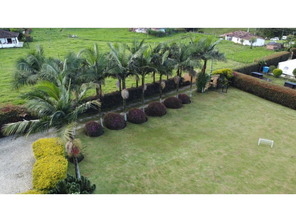 FINCA EN VENTA VIA LA CEJA - SAN ANTONIO DE PEREIRA — foto 6
