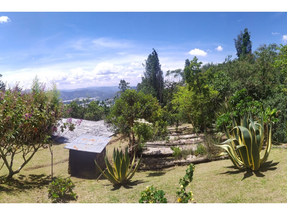 FINCA EN VENTA LA CEJA - LA UNIÓN