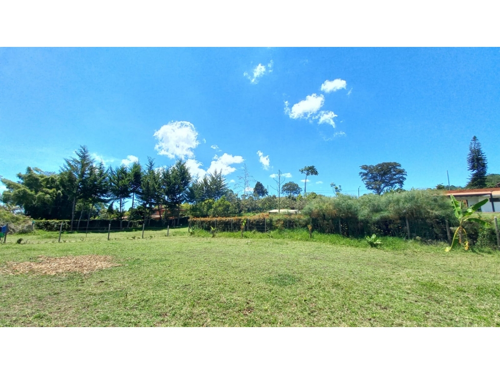 LOTE INDEPENDIENTE EN VENTA EN LA CEJA