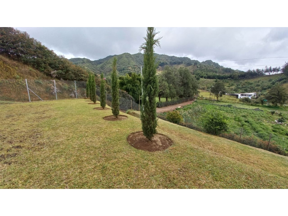 LOTE EN VENTA LA CEJA