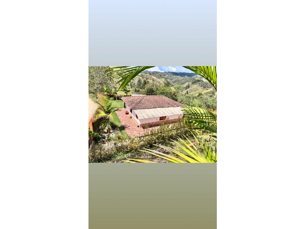 FINCA EN VENTA EN SAN VICENTE — foto 2