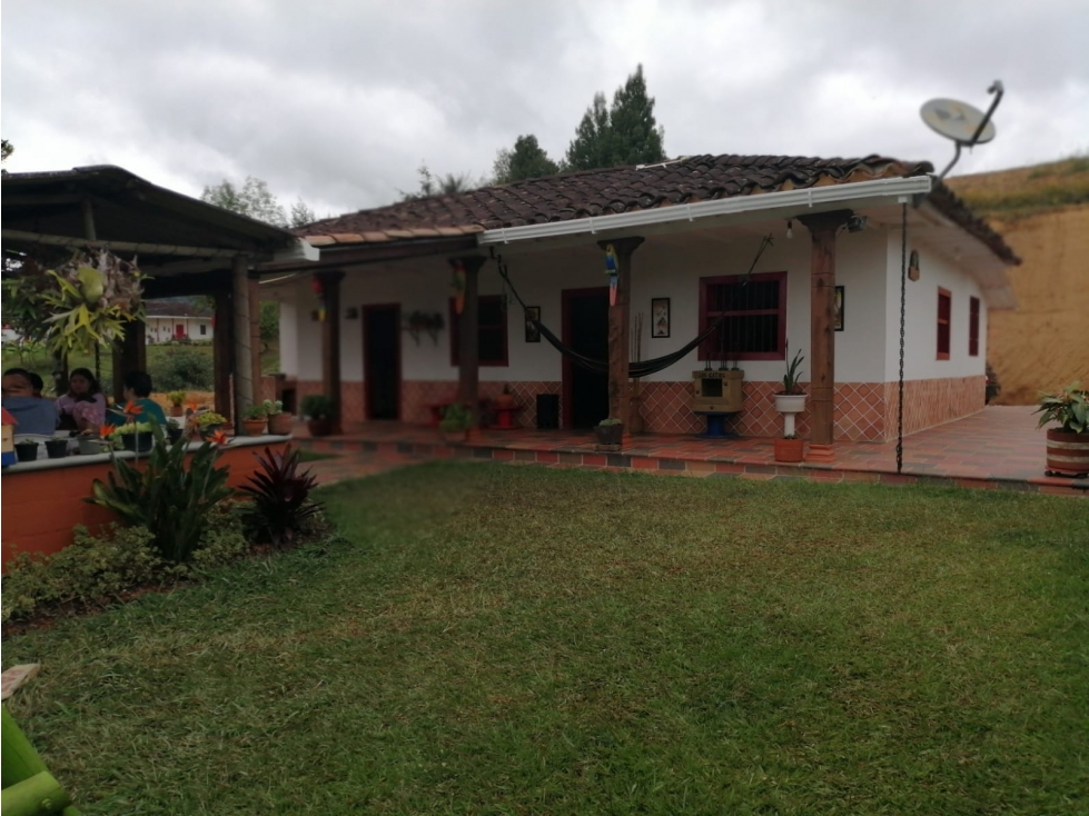 FINCA EN VENTA EN SAN VICENTE — foto 3