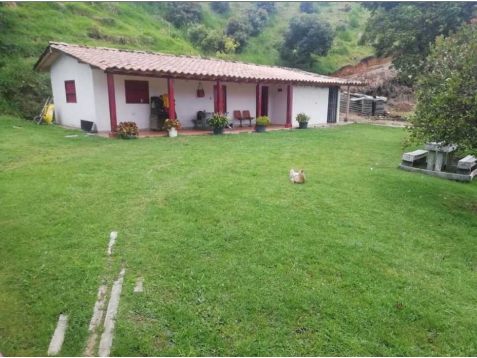 Venta de finca de producción en el Retiro, Antioquia — foto 2