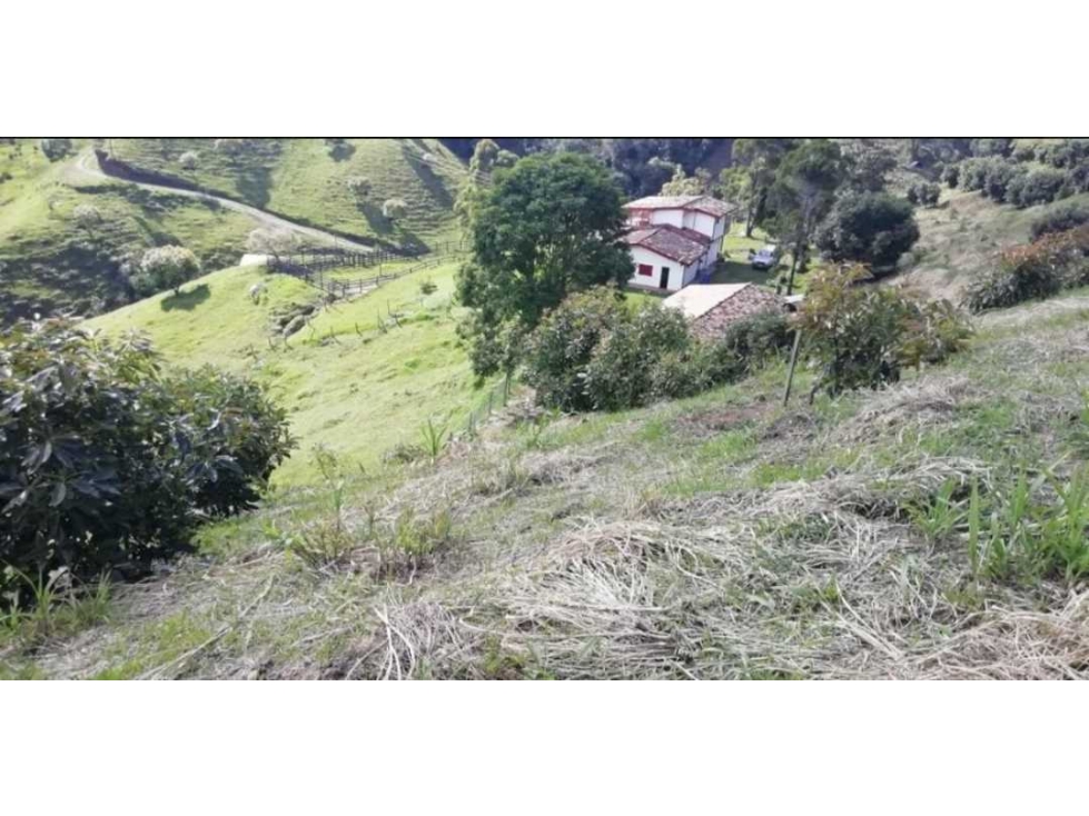 Venta de finca de producción en el Retiro, Antioquia — foto 3