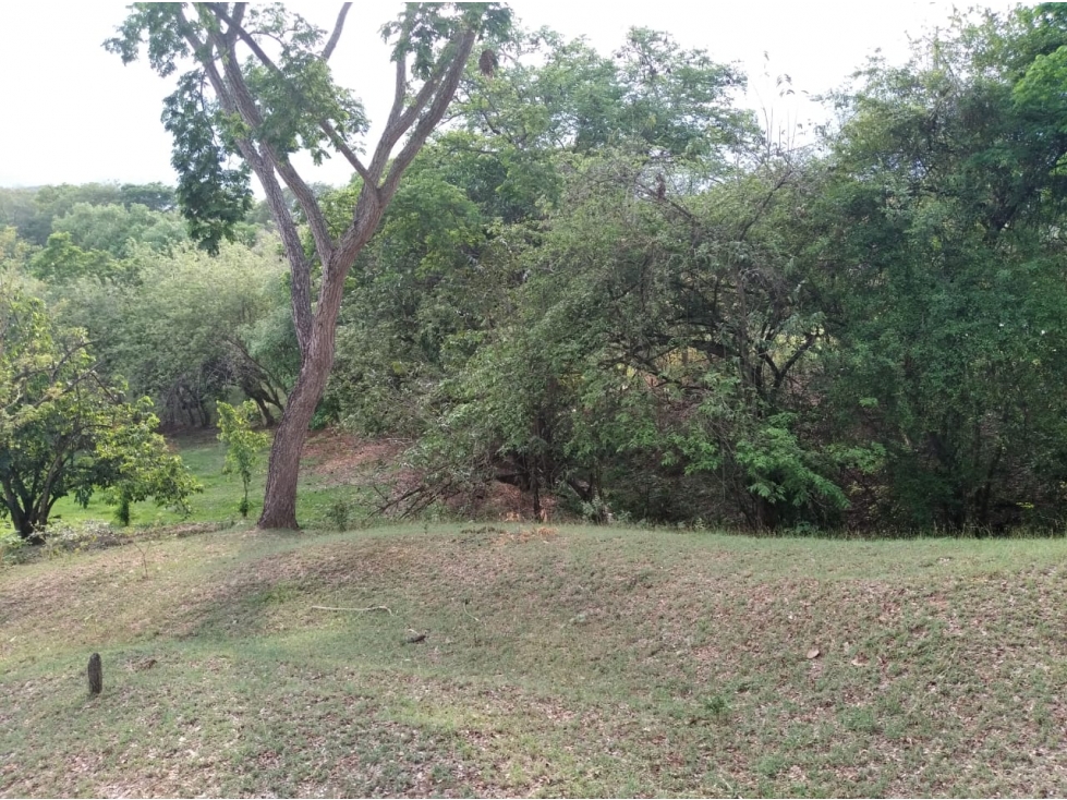 VENDO LOTE EN VIA SOPETRAN - OLAYA — foto 3