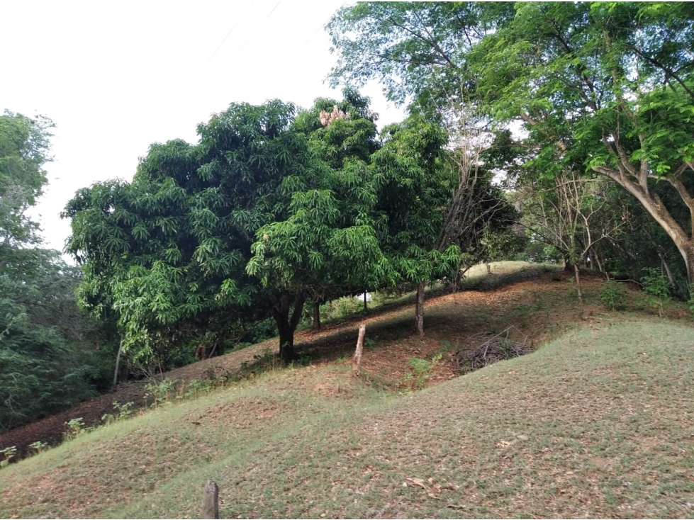 VENDO LOTE EN VIA SOPETRAN - OLAYA — foto 5