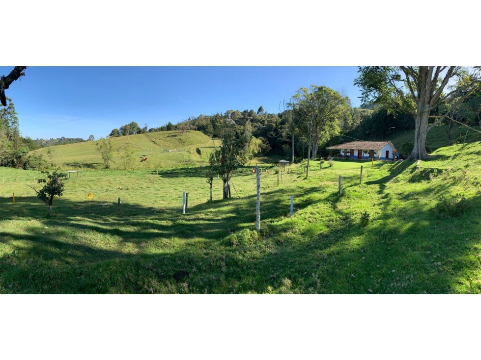 Vendo hermoso lote en la variante Las Palmas — foto 3