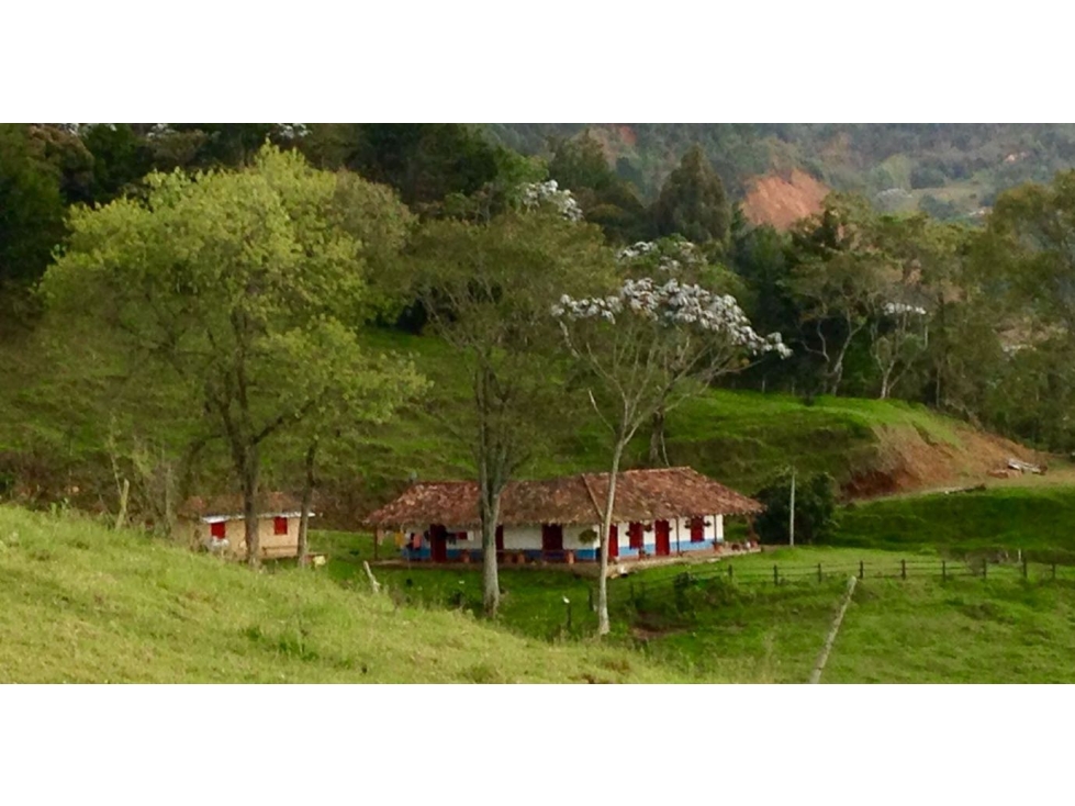 Vendo hermoso lote en la variante Las Palmas — foto 4