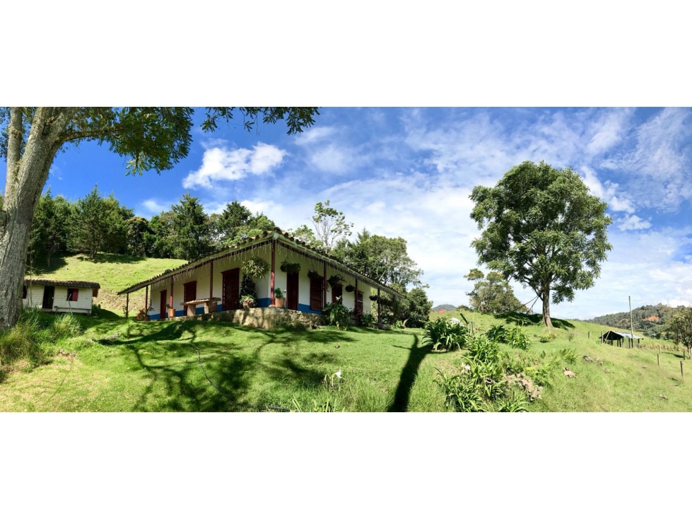 Vendo hermoso lote en la variante Las Palmas — foto 5