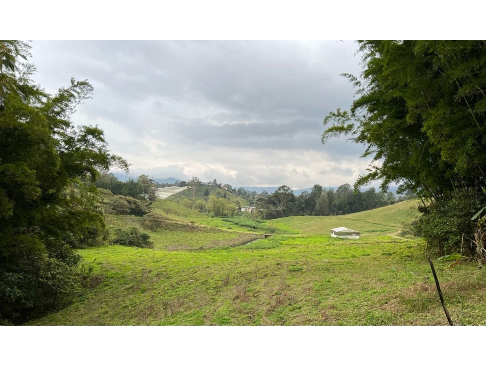 Vendo espectacular lote para Parcelacion en el Carmen de Viboral — foto 2