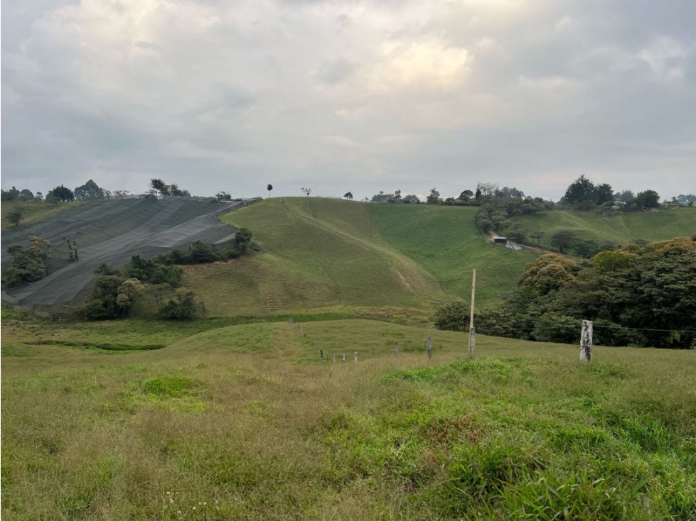 Vendo espectacular lote para Parcelacion en el Carmen de Viboral — foto 3