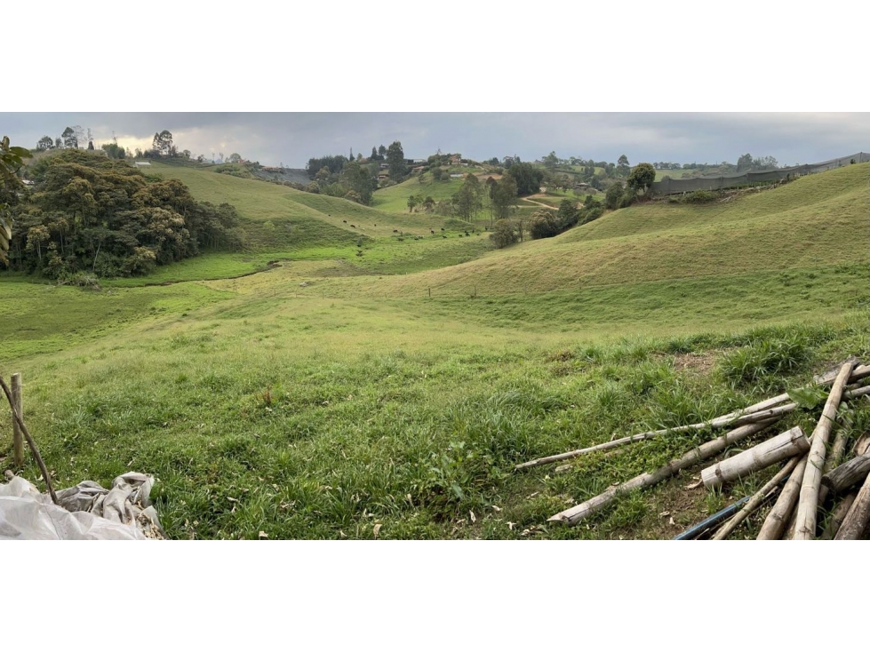Vendo espectacular lote para Parcelacion en el Carmen de Viboral — foto 4