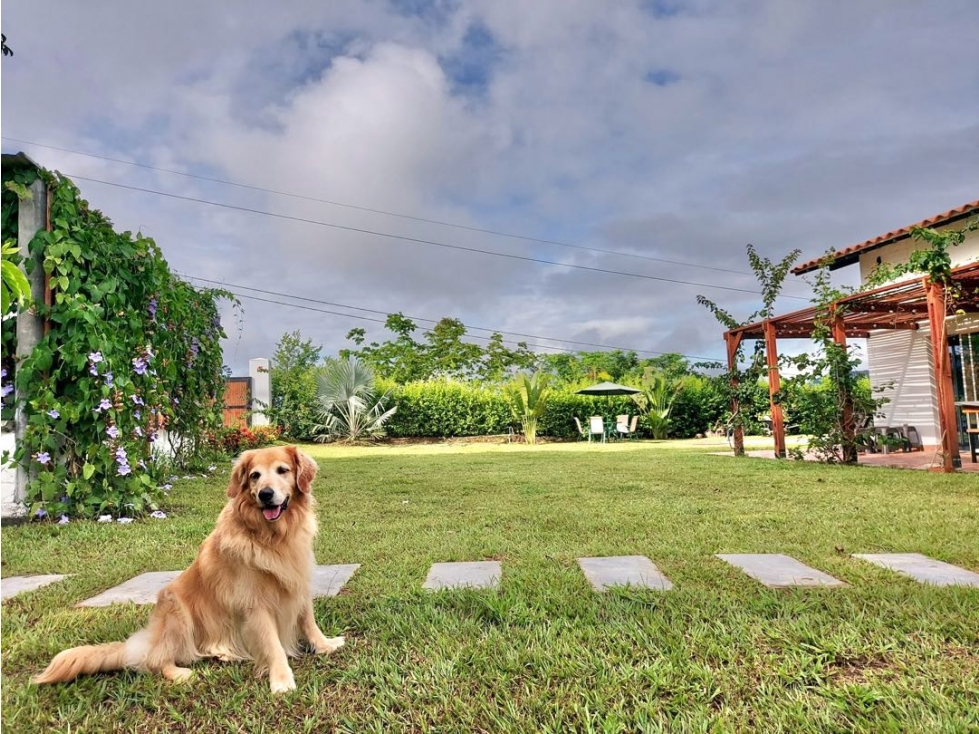 Vendo finca en Sopetran en unidad cerrada — foto 4