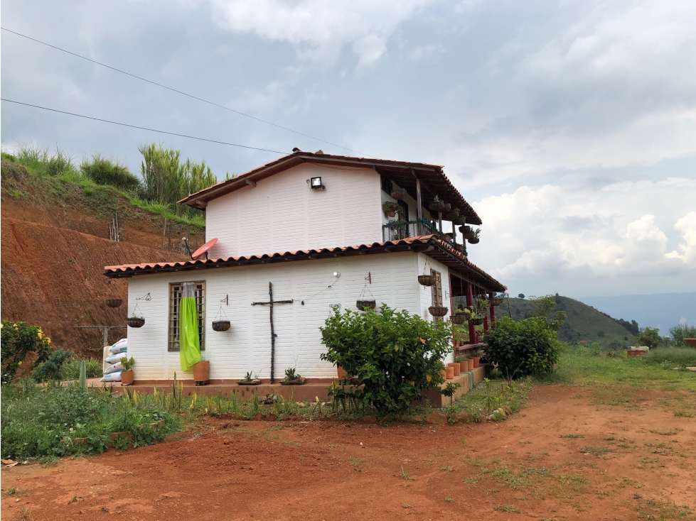 VENTA/ CAMBIO FINCA COPACABANA, VEREDA PEÑOLCITO — foto 5