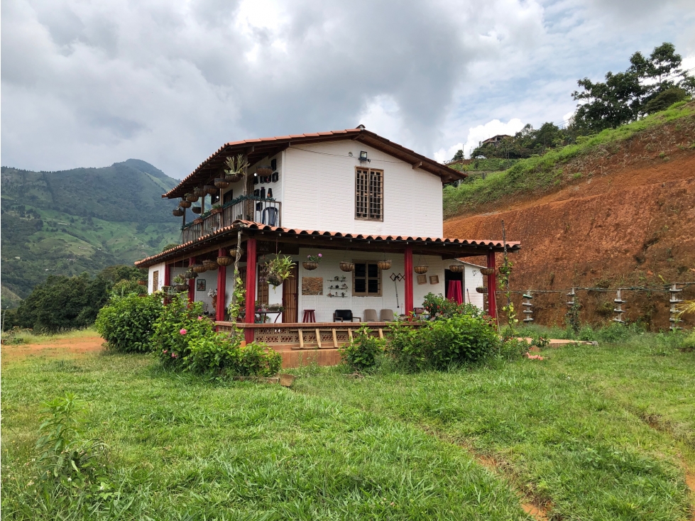 VENTA/ CAMBIO FINCA COPACABANA, VEREDA PEÑOLCITO — foto 6