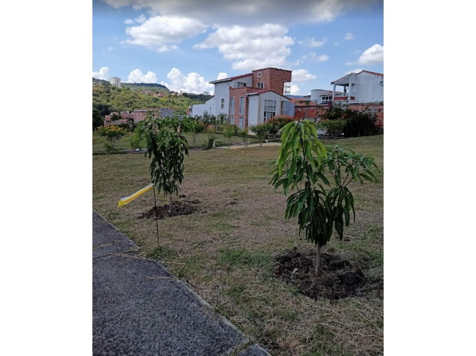 VENTA DE LOTE CAMPESTRE EN SAN GIL, SANTANDER - 6