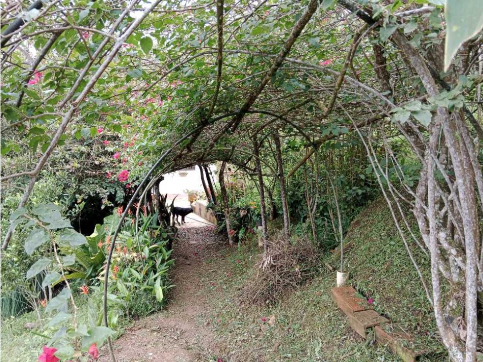 Venta de finca autosostenible en Palmitas, Vereda Urquita, Med