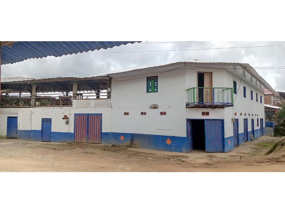 VENTA FINCA AGUACATES EN AGUADAS, CALDAS, VEREDA PORE - 2