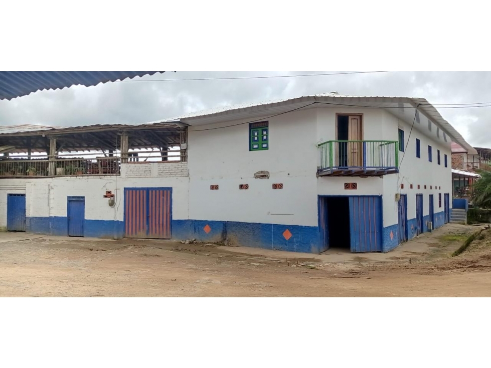VENTA FINCA AGUACATES EN AGUADAS, CALDAS, VEREDA PORE - 1