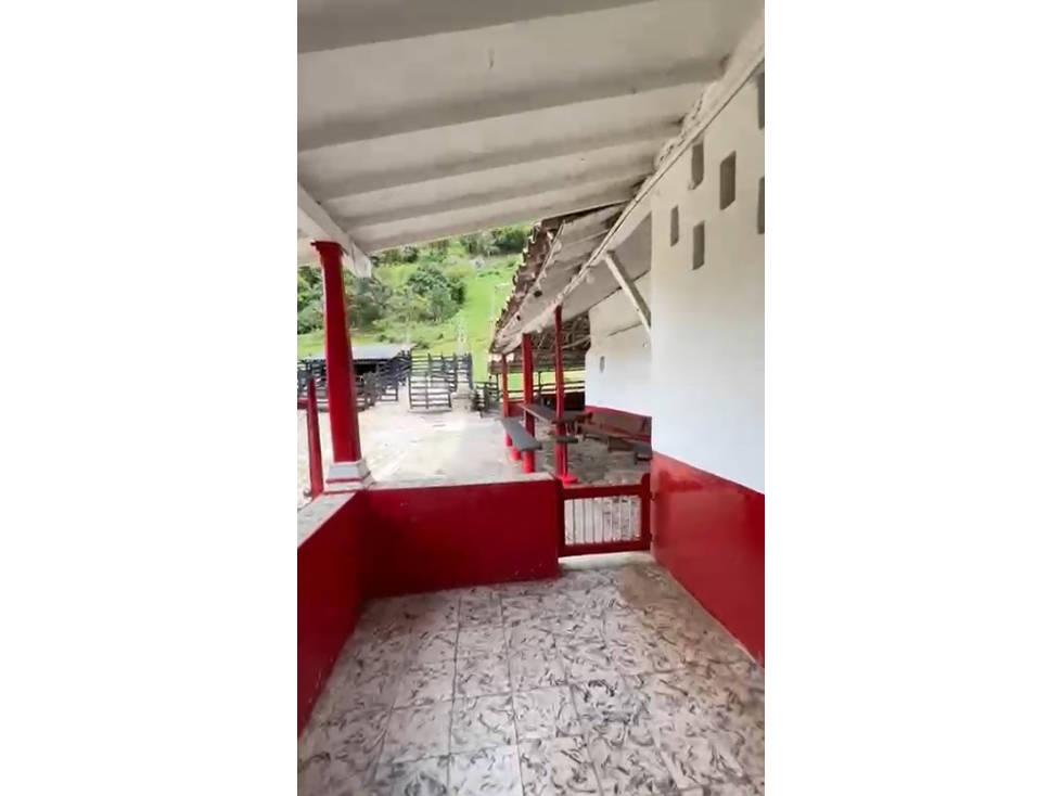 VENTA FINCA GANADERA EN SALGAR, SECTOR EL BARROSO - 2