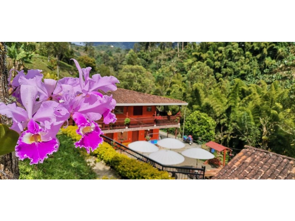 VENTA FINCA HOTEL EN JARDIN, VEREDA LA LINDA - 3