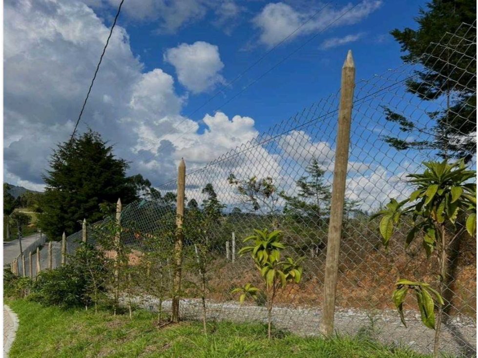 Venta de lote en parcelación Vereda la Mosquita, Guarne, Antioquia — foto 6