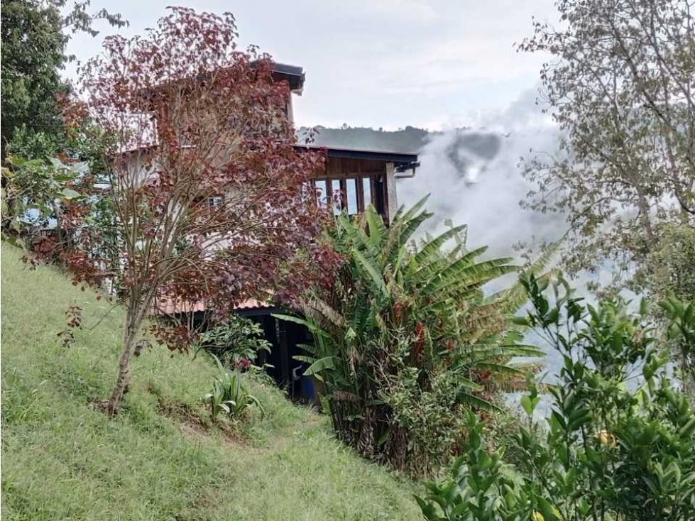 Venta de finca autosostenible en Palmitas, Vereda Urquita, Med