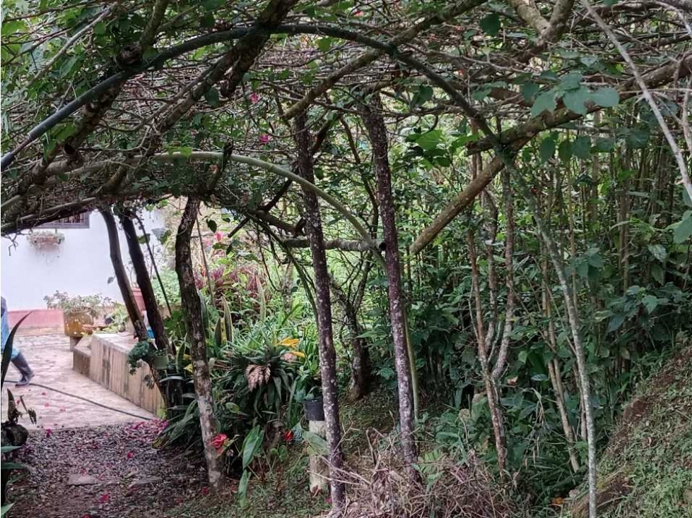 Venta de finca autosostenible en Palmitas, Vereda Urquita, Med — foto 3