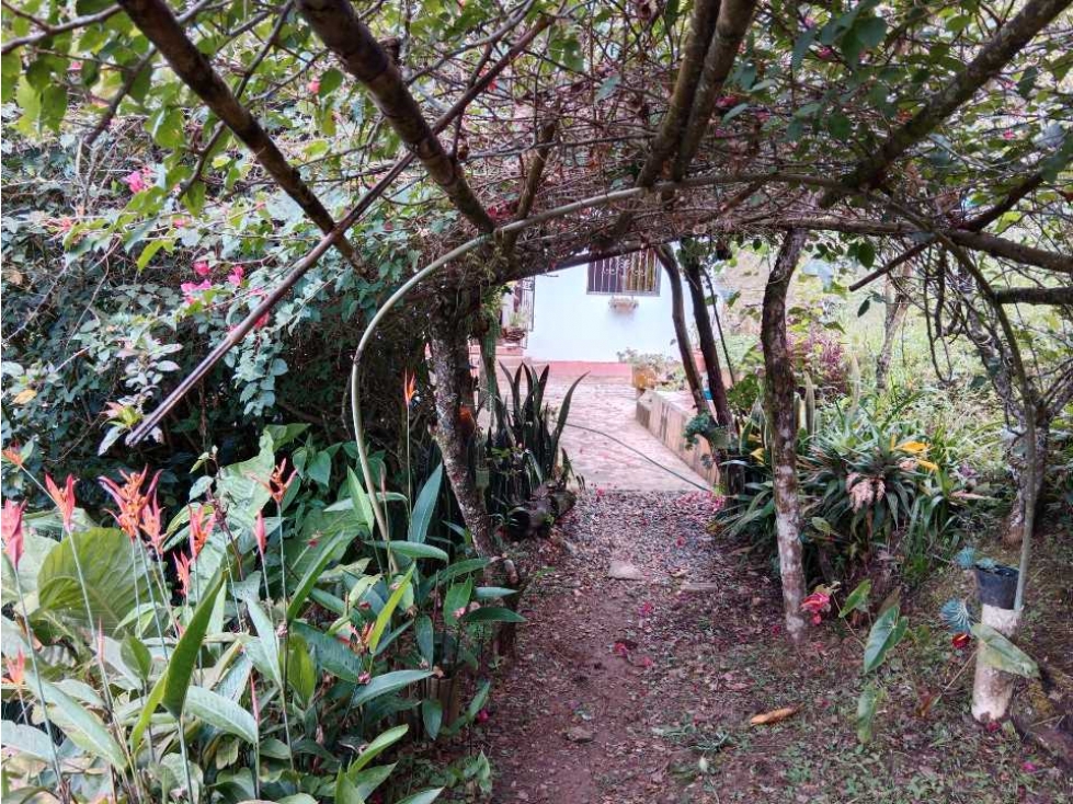Venta de finca autosostenible en Palmitas, Vereda Urquita, Med — foto 2