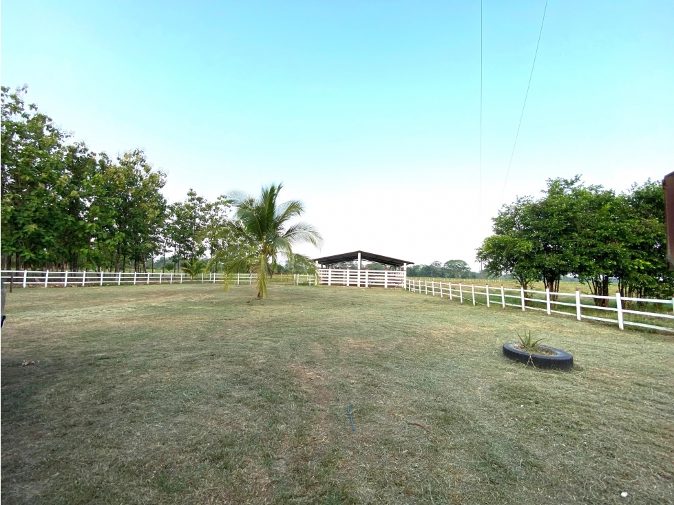 VENDO FINCA::VIA PUERTO LÓPEZ::VEREDA GUAYURIBA::$2.400MM - 2